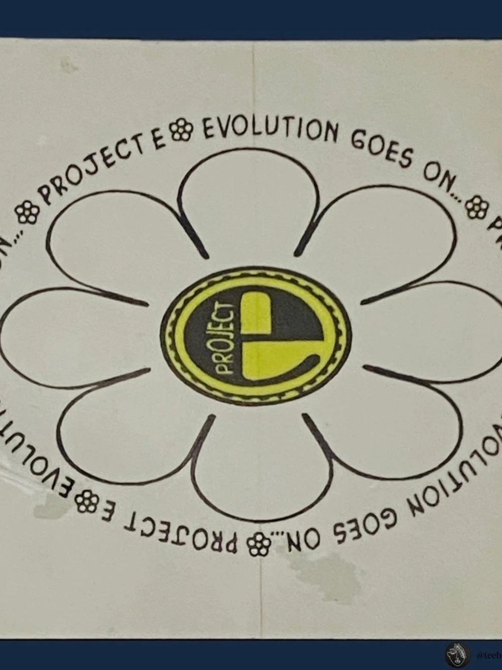 Vintage 90s Project E Sticker Evolution Goes On Flower Logo Decal Y2K NOS 4"